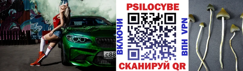 Псилоцибиновые грибы Psilocybine cubensis  blacksprut онион  Можайск 